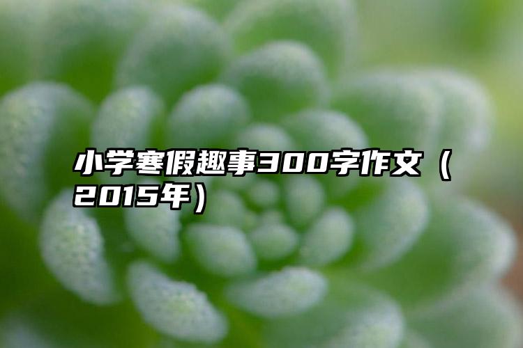 小学寒假趣事300字作文（2015年）