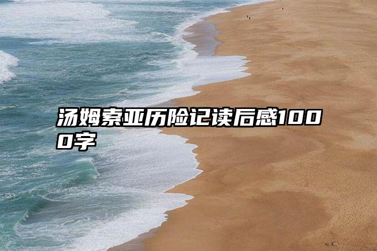 汤姆索亚历险记读后感1000字