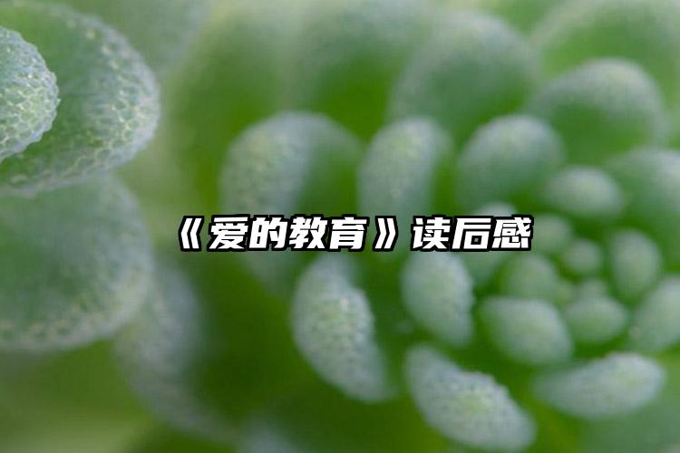 《爱的教育》读后感