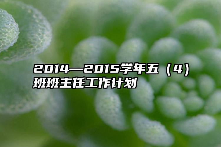 2014—2015学年五（4）班班主任工作计划