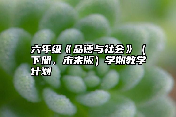 六年级《品德与社会》（下册，未来版）学期教学计划