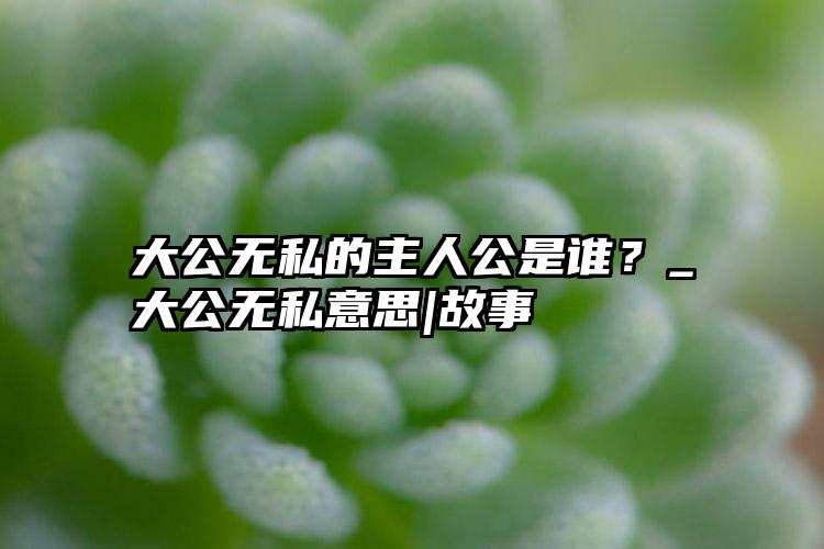 大公无私的主人公是谁？_大公无私意思|故事