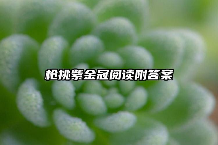 枪挑紫金冠阅读附答案