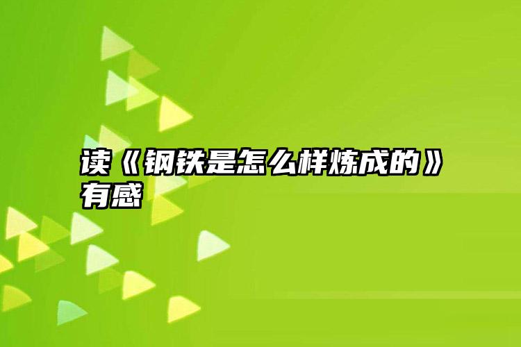 读《钢铁是怎么样炼成的》有感