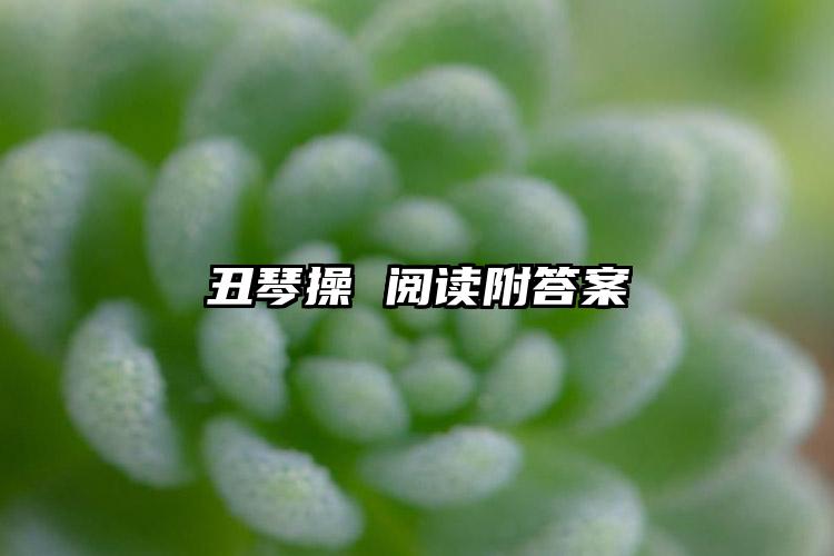 丑琴操 阅读附答案