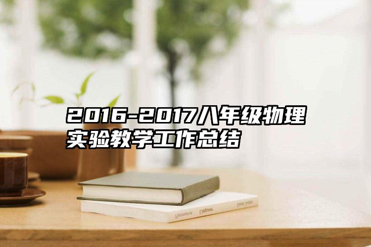 2016-2017八年级物理实验教学工作总结