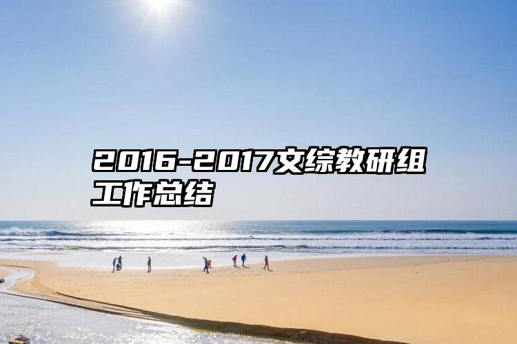 2016-2017文综教研组工作总结