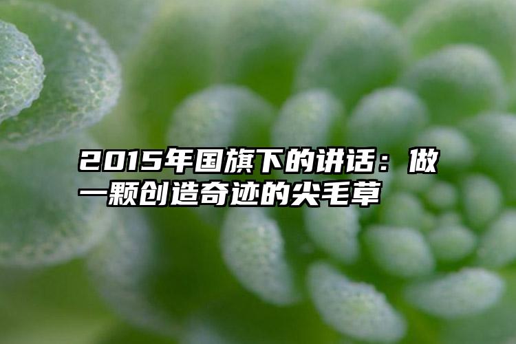 2015年国旗下的讲话：做一颗创造奇迹的尖毛草