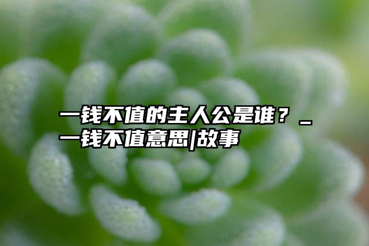 一钱不值的主人公是谁？_一钱不值意思|故事