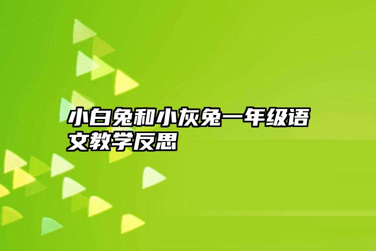 小白兔和小灰兔一年级语文教学反思