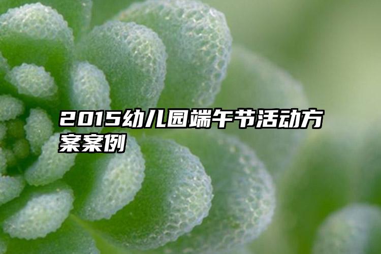 2015幼儿园端午节活动方案案例