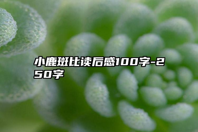 小鹿斑比读后感100字-250字