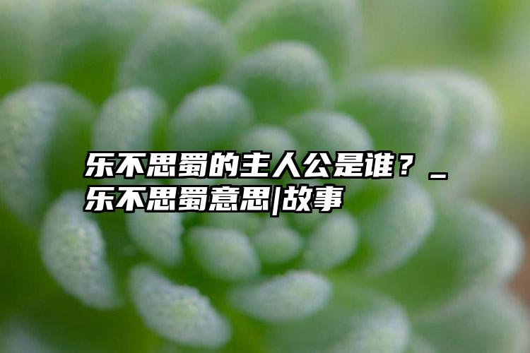 乐不思蜀的主人公是谁？_乐不思蜀意思|故事