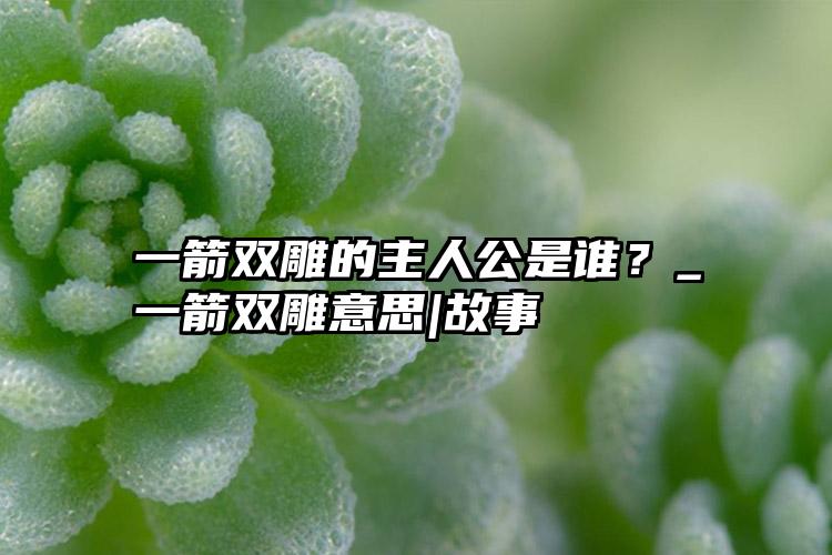 一箭双雕的主人公是谁？_一箭双雕意思|故事