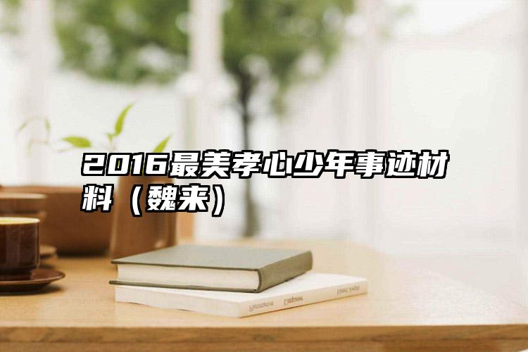 2016最美孝心少年事迹材料（魏来）