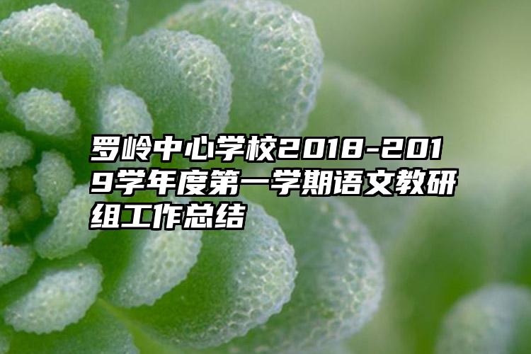 罗岭中心学校2018-2019学年度第一学期语文教研组工作总结