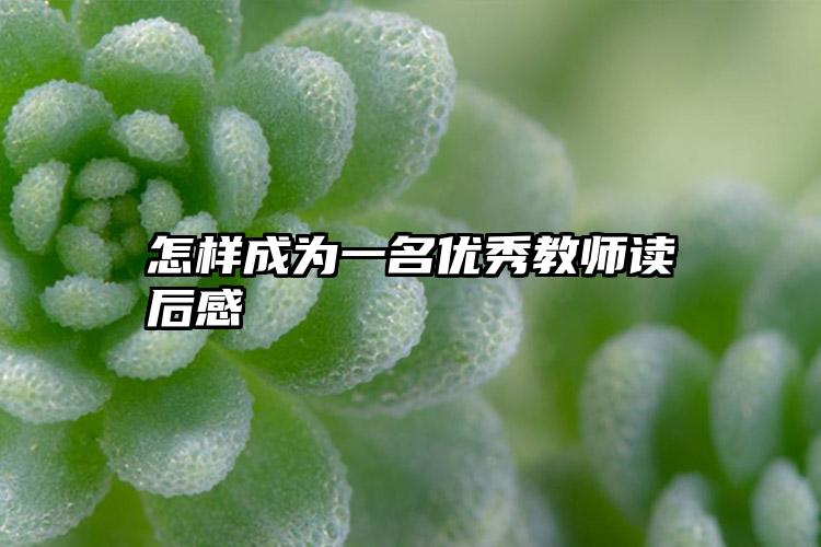 怎样成为一名优秀教师读后感