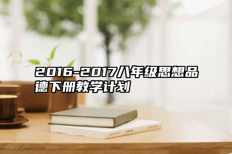 2016-2017八年级思想品德下册教学计划