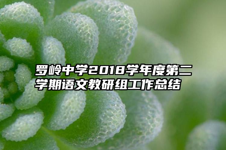 罗岭中学2018学年度第二学期语文教研组工作总结