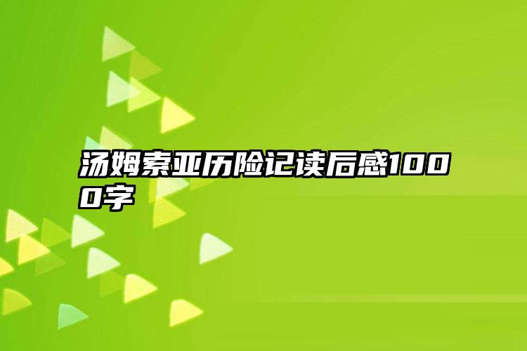 汤姆索亚历险记读后感1000字