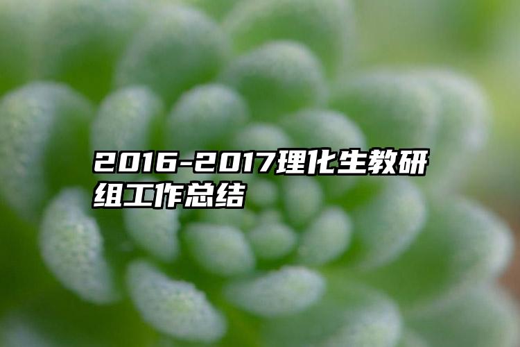 2016-2017理化生教研组工作总结