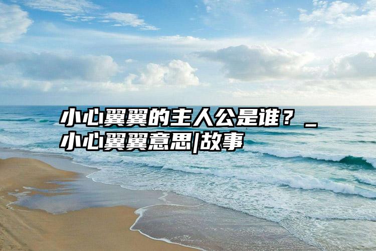 小心翼翼的主人公是谁？_小心翼翼意思|故事