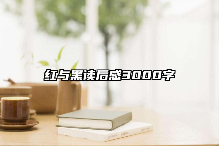 红与黑读后感3000字