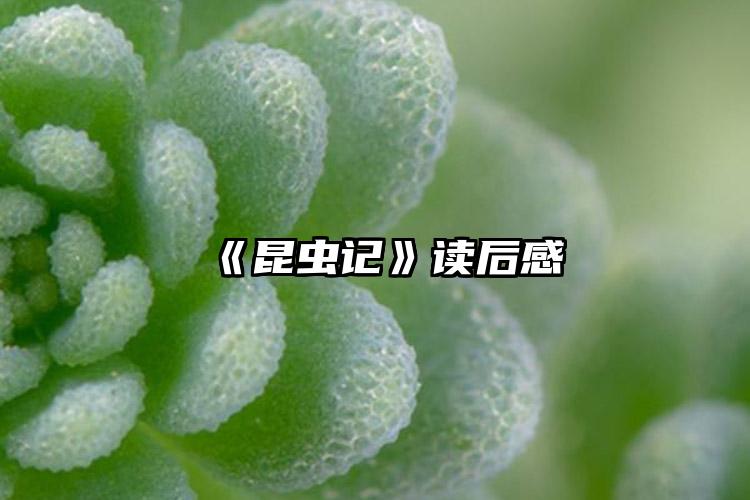 《昆虫记》读后感