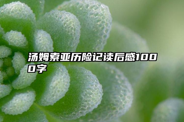 汤姆索亚历险记读后感1000字