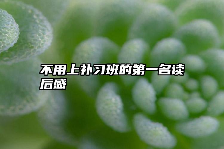 不用上补习班的第一名读后感