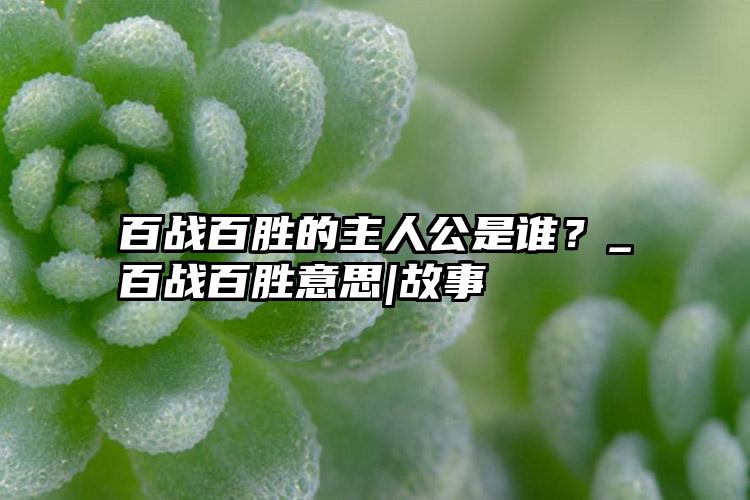 百战百胜的主人公是谁？_百战百胜意思|故事