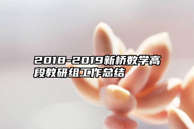 2018-2019新桥数学高段教研组工作总结