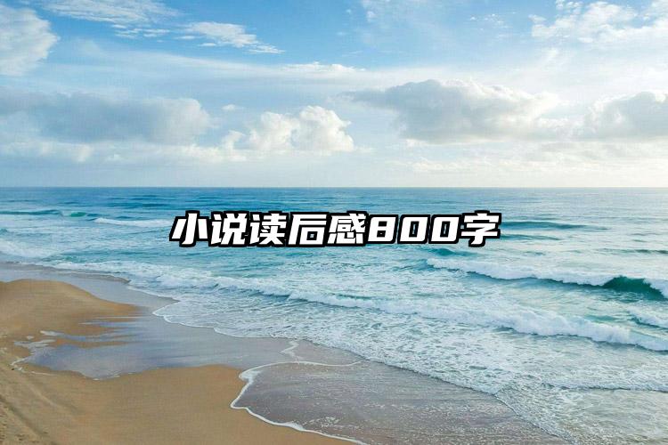 小说读后感800字