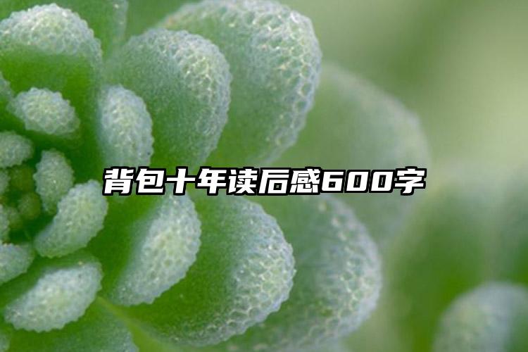 背包十年读后感600字