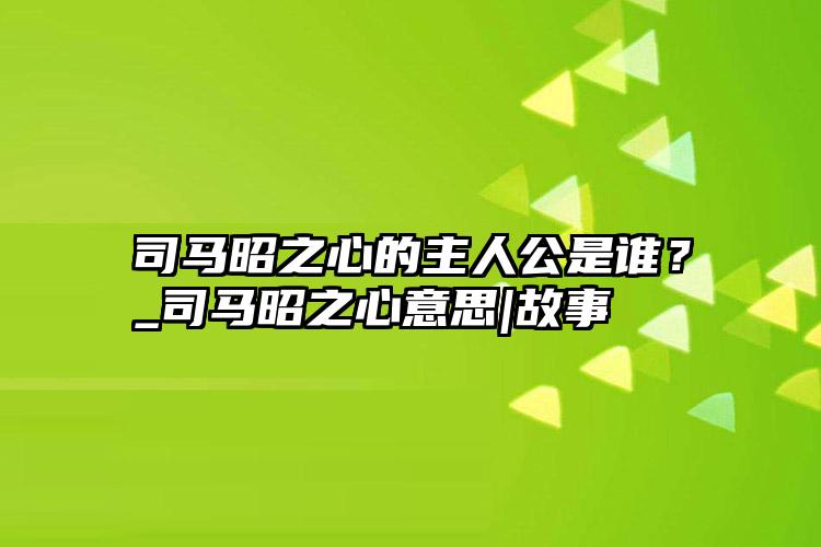 司马昭之心的主人公是谁？_司马昭之心意思|故事