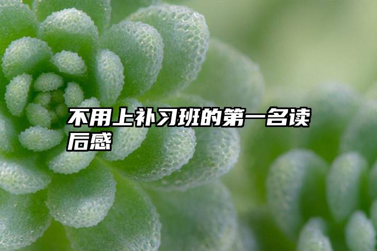 不用上补习班的第一名读后感