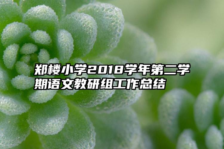 郑楼小学2018学年第二学期语文教研组工作总结