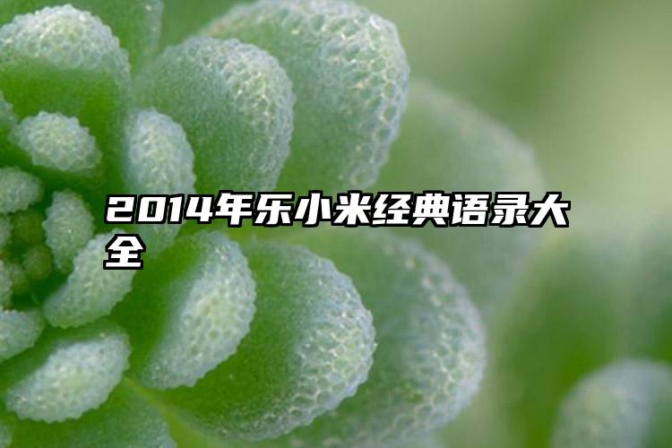 2014年乐小米经典语录大全