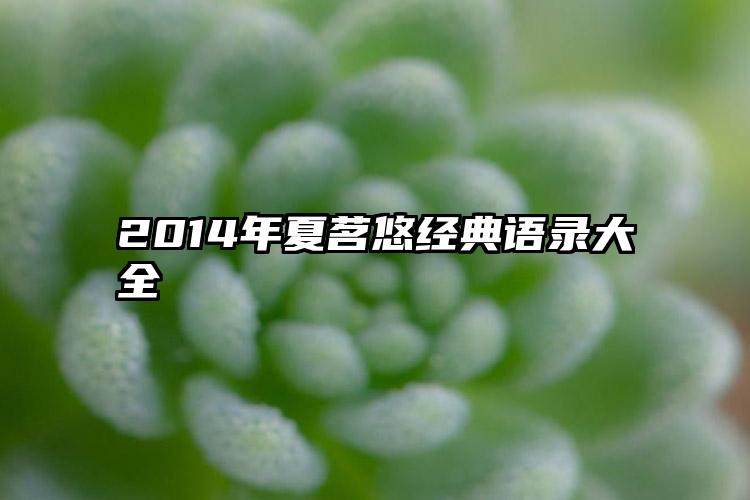 2014年夏茗悠经典语录大全