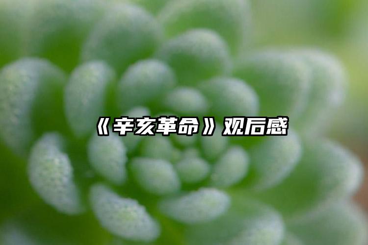 《辛亥革命》观后感