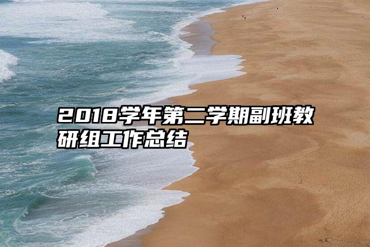 2018学年第二学期副班教研组工作总结