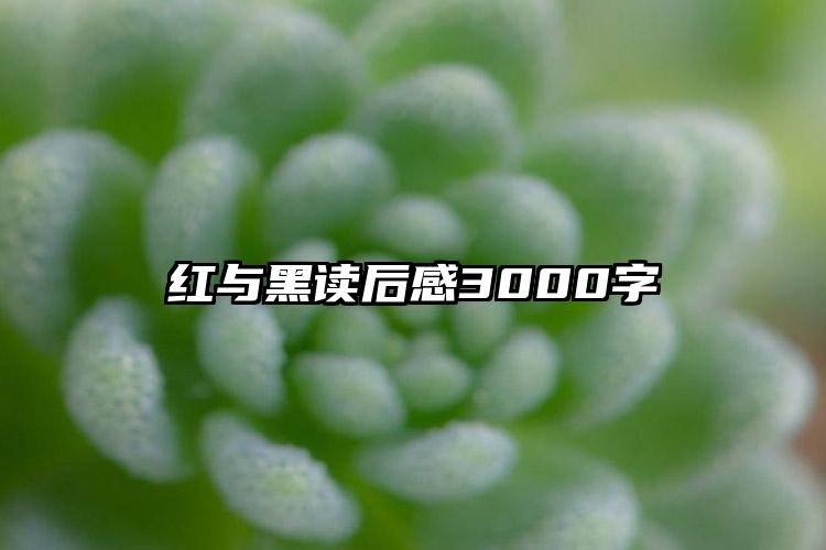 红与黑读后感3000字