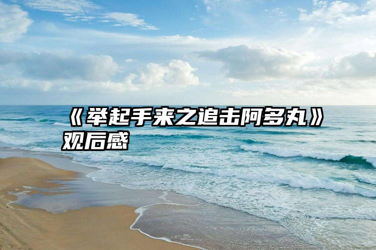 《举起手来之追击阿多丸》观后感