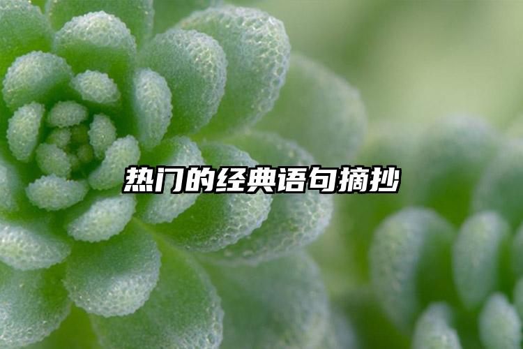 热门的经典语句摘抄