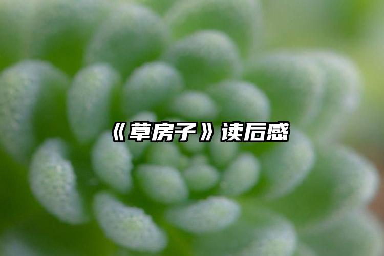 《草房子》读后感